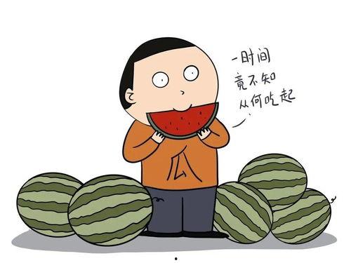 娱乐吃瓜英文